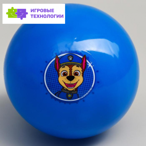 Мяч детский Paw Patrol «Гончик», 16 см, 50 г, цвета МИКС