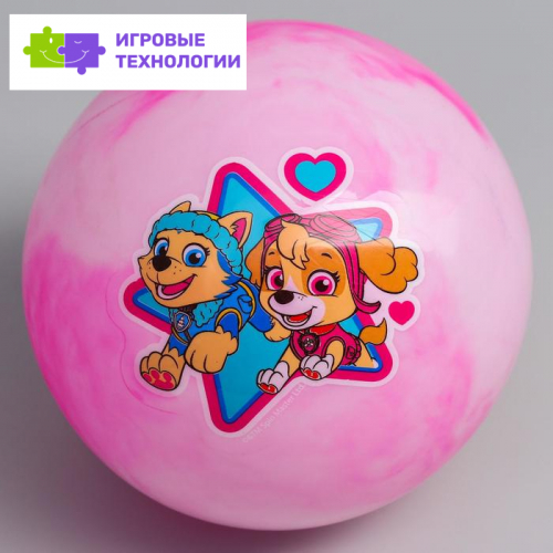Мяч детский Paw Patrol «Скай и Эверест», 22 см, 60 г, мрамор, МИКС