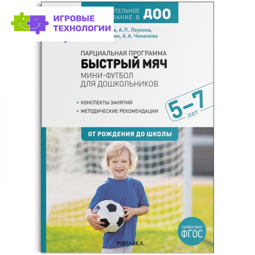 Парциальная программа «Быстрый мяч». Мини-футбол для дошкольников 5-7 лет. ФГОС. Дополнительное образование в ДОО