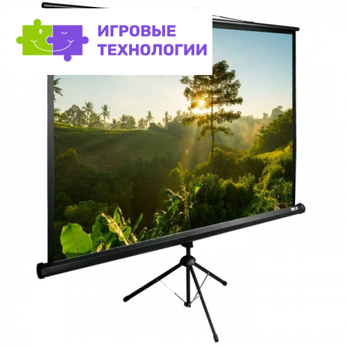 Экран Cactus TriExpert CS-PSTE-200×200-BK, 200×200 см, 1:1, напольный, рулонный, черный