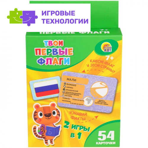 Настольная игра «Твои первые флаги»