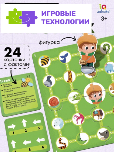 Развивающая игра «Пройди по стрелкам. Изучаем животных», 24 карточки, 3+