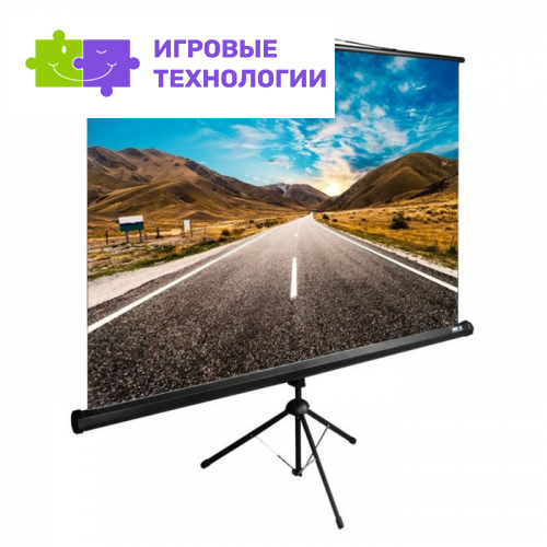 Экран Cactus CS-PSTE-160×160-BK 160×160 см, 1:1, напольный, рулонный, чёрный