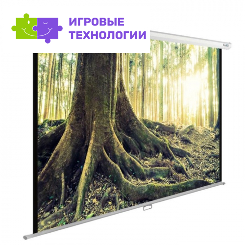 Экран Cactus CS-PSWE-220×220-WT, настенно-потолочный рулонный, 220×220 см, 1:1